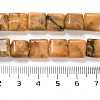 Natural Dolomite Beads Strands G-F765-C02-01-5