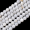 Natural Freshwater Shell Beads Strands SH-CBA2978-07D-03-1