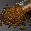 TOHO 6/0 Round Beads SEED-XTR06-2155-1