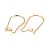 316 Surgical Stainless Steel Hoop Earring Findings STAS-A056-12G-C-2