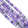 Natural Weathered Agate Beads Strands G-G589-6mm-06-3