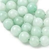 Dyed Natural Malaysia Jade Beads Strands G-G021-01D-11-3