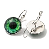 Eye Glass Leverback Earrings with Brass Earring Pins EJEW-Q798-01N-2
