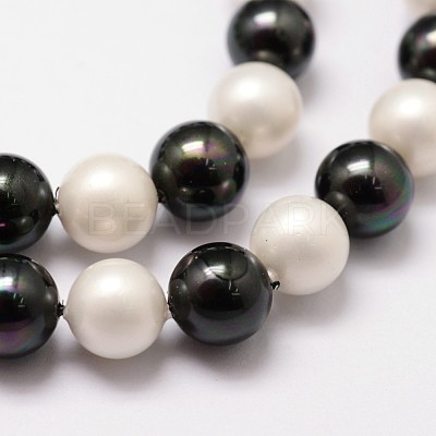 Shell Pearl Bead Strands BSHE-L017-13-1