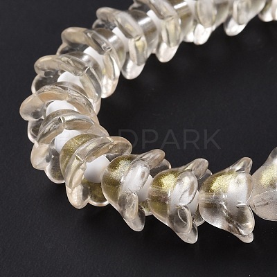 Transparent Glass Beads Strands LAMP-H061-01D-02-1