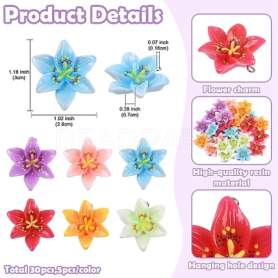 30Pcs 6 Colors Opaque Resin Pendants CRES-YW0002-84-1
