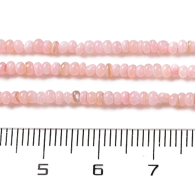 Natural Freshwater Shell Beads Strands SHEL-P017-01A-09-1