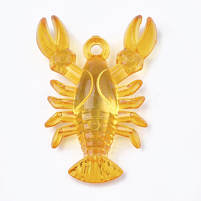 Transparent Acrylic Pendants X-TACR-S149-02-1