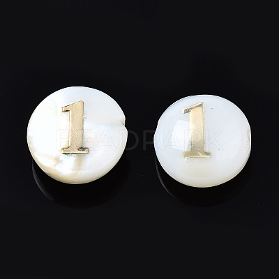 Natural Freshwater Shell Beads SHEL-N003-20-01-1