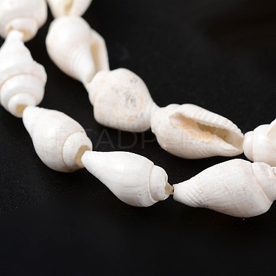 Natural Sea Shell Conch Bead Strands BSHE-O009-06-1