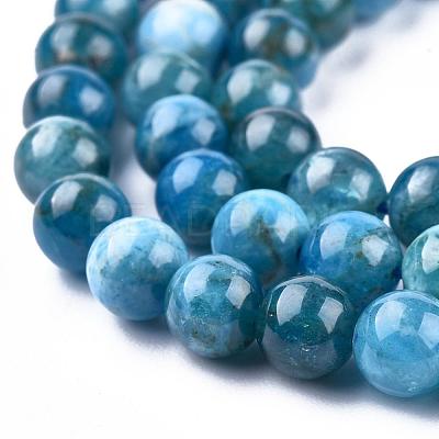 Natural Apatite Beads Strands G-O186-E02-6mm-1