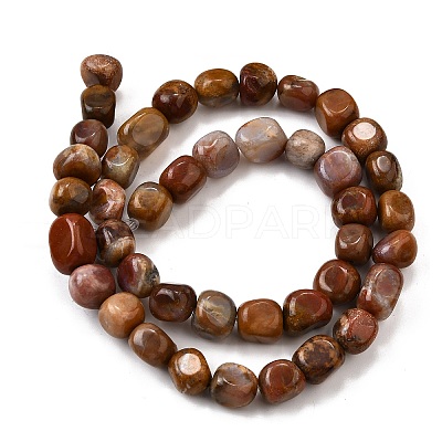 Natural Petrified Wood Beads Strands G-L621-C11-02-1
