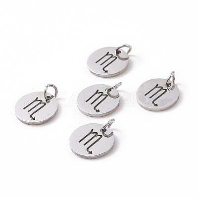 Non-Tarnish 304 Stainless Steel Charms STAS-Q201-T445-8S-1