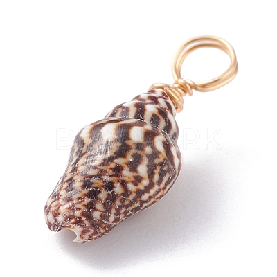 Natural Shell Pendants PALLOY-JF01164-02-1