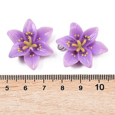 Opaque Resin Pendants CRES-D328-04-1