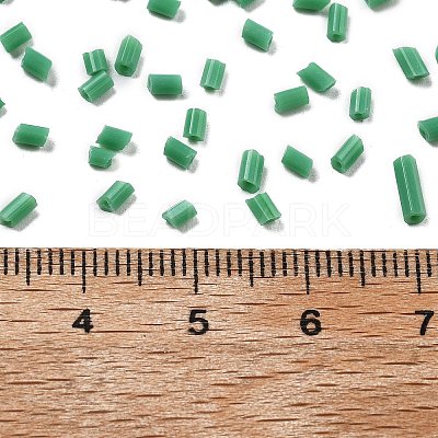 Two Cut Glass Seed Beads CSDB47-1