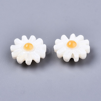 Natural Freshwater Shell Beads SHEL-S266-14A-1