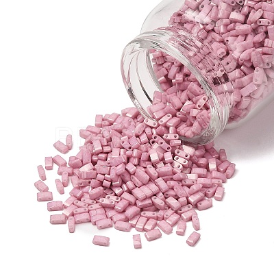 MIYUKI Half TILA Beads SEED-MY05-HTL599-1