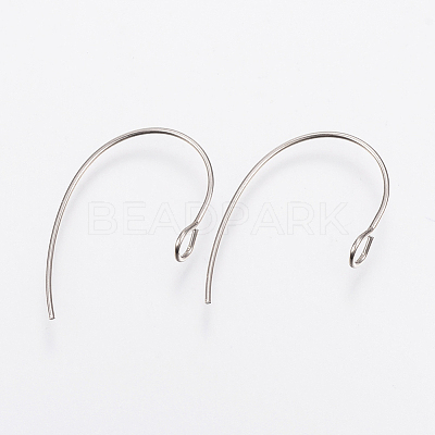 Tarnish Resistant 304 Stainless Steel Earring Hooks X-STAS-F148-05P-1