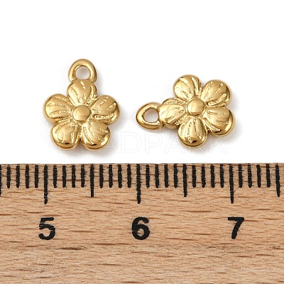 304 Stainless Steel Charms STAS-R170-01G-06-1