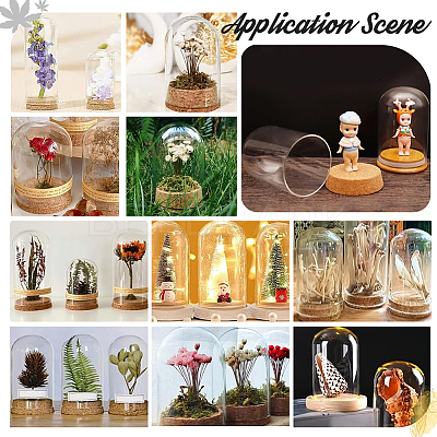 4 Sets Transparent Glass Dome Jar Cloche Display Cases AJEW-PH0011-24B-1