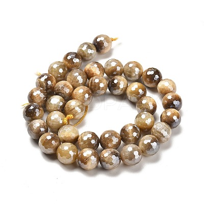 Electroplated Natural Tiger Eye Round Beads Strands G-L598-A04-03-1