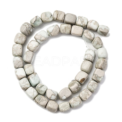 Natural Variscite Beads Strands G-B155-D01-1