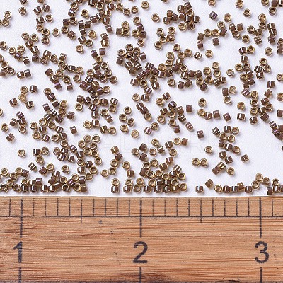 MIYUKI Delica Beads X-SEED-J020-DB0287-1