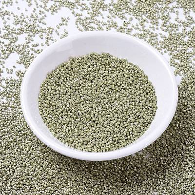 MIYUKI Delica Beads SEED-JP0008-DB1181-1