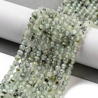 Natural Prehnite Beads Strands G-G140-A19-03-1