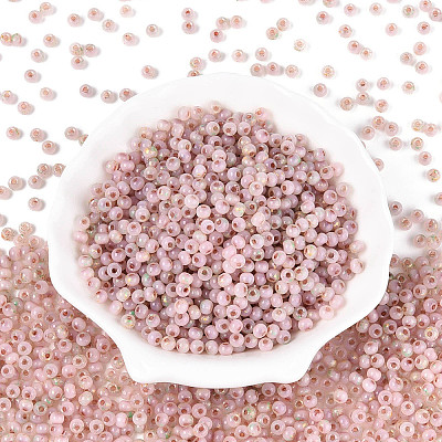 6/0 Glass Seed Beads SEED-N008-07I-1
