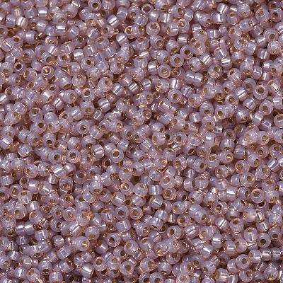 MIYUKI Round Rocailles Beads X-SEED-G007-RR0579-1