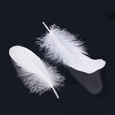Goose Feather Costume Accessories FIND-T015-30-1