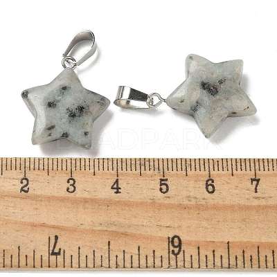Natural Sesame Jasper Pendants G-B127-12P-11-1