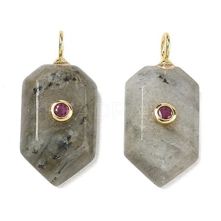 Natural Labradorite Pendants KK-CBAF9BC-20G-01-1