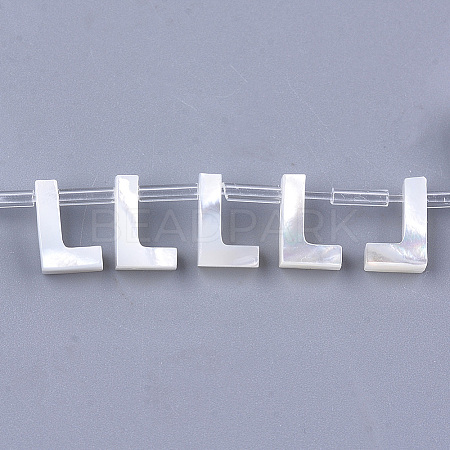 Sea Shell Beads LS-X-SHEL-T012-60L-1
