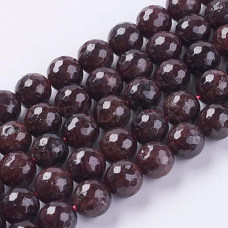 Natural Garnet Beads Strands X-G-G542-10mm-21-1