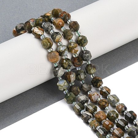 Natural Rhyolite Jasper Beads Strands G-O201B-122F-1