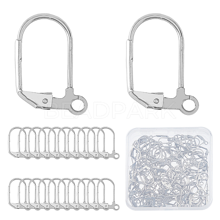 DICOSMETIC 100Pcs 304 Stainless Steel Leverback Earring Findings STAS-DC0015-93-1