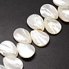 Natural Trochid Shell/Trochus Shell Beads Strands SSHEL-K009-08-3