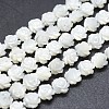 Natural White Shell Beads Strands SSHEL-P015-01A-6mm-1