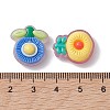 Translucent Resin Decoden Cabochons RESI-K034-02-4