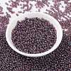 MIYUKI Round Rocailles Beads X-SEED-G008-RR0302-2