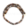Natural Gobi Agate Beads Strands G-F668-25-B-5