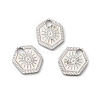 Non-Tarnish 316L Surgical Stainless Steel Charms STAS-H213-52P-3