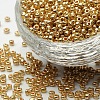 Electroplate Glass Seed Beads X-SEED-Q004-1-1