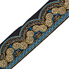 Ethnic Style Embroidery Polyester Ribbons SK-TAC0001-02-1