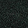 MIYUKI Round Rocailles Beads SEED-X0055-RR0156-2