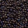 TOHO 6/0 Round Beads SEED-XTR06-0615-4