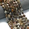 Natural Petrified Wood Beads Strands G-C116-A135-01-1